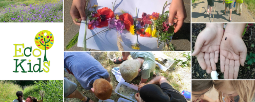 Banner wijsneus