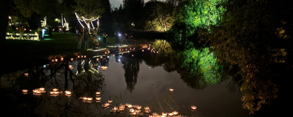 Alles Is Noord Feest