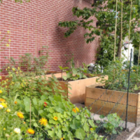 Sociale voedseltuin